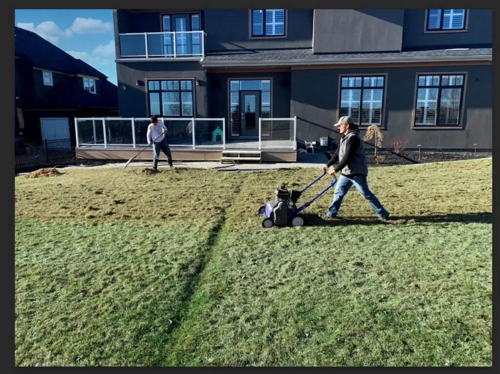 Get Your Home Ready for the New Season with Spring Cleanup in Calgary