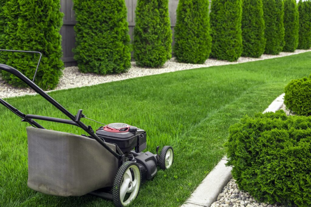 Lawn mower on grass