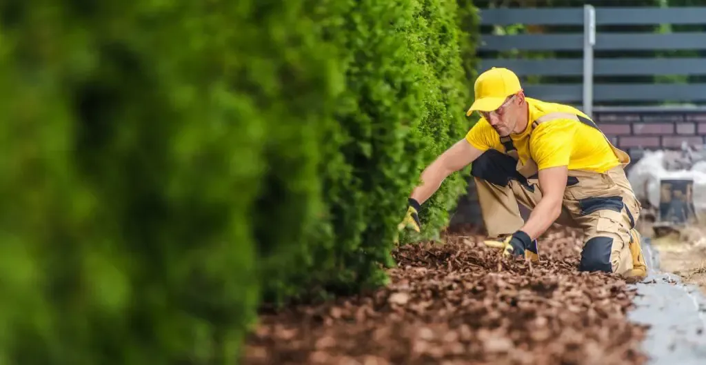 The Best Time for Topdressing in Calgary: A Seasonal Guide