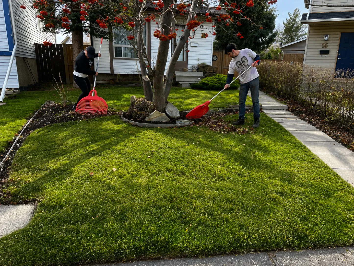 Fall cleanup — leaves and debris cleared from a Calgary yard