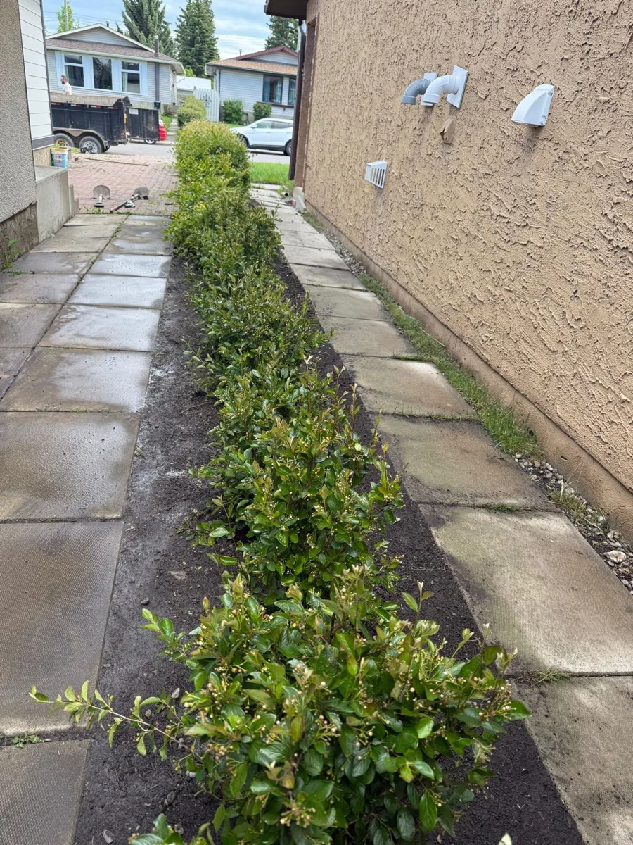 Seasonal property care by Somerset Lawn and Snow